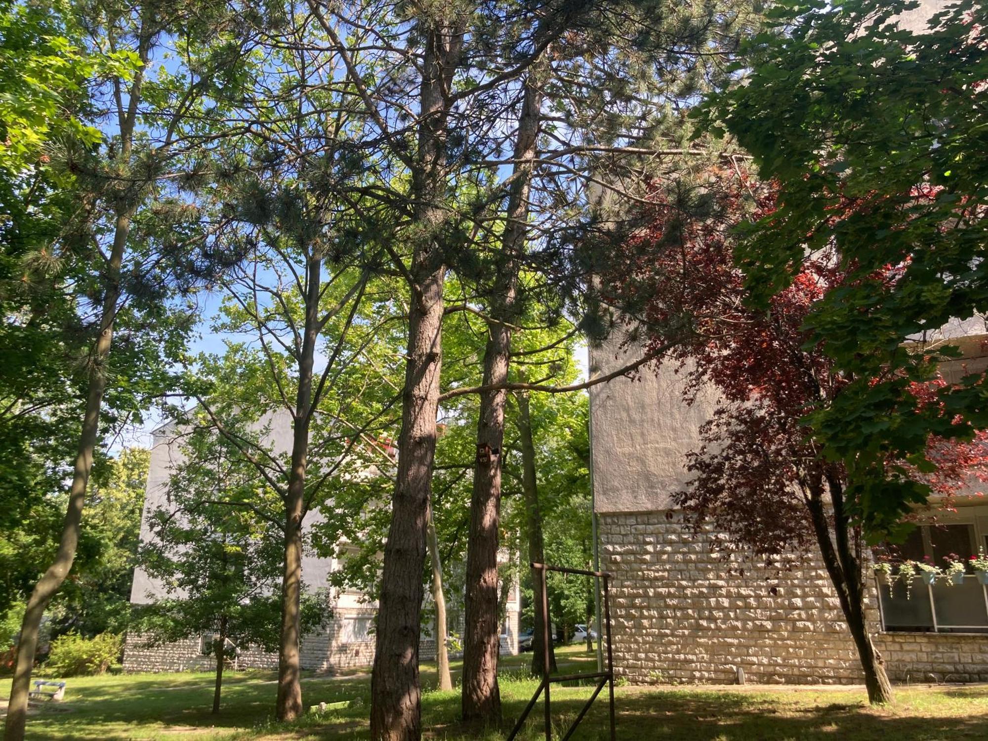 Oazis Apartman Veszprém Exteriör bild
