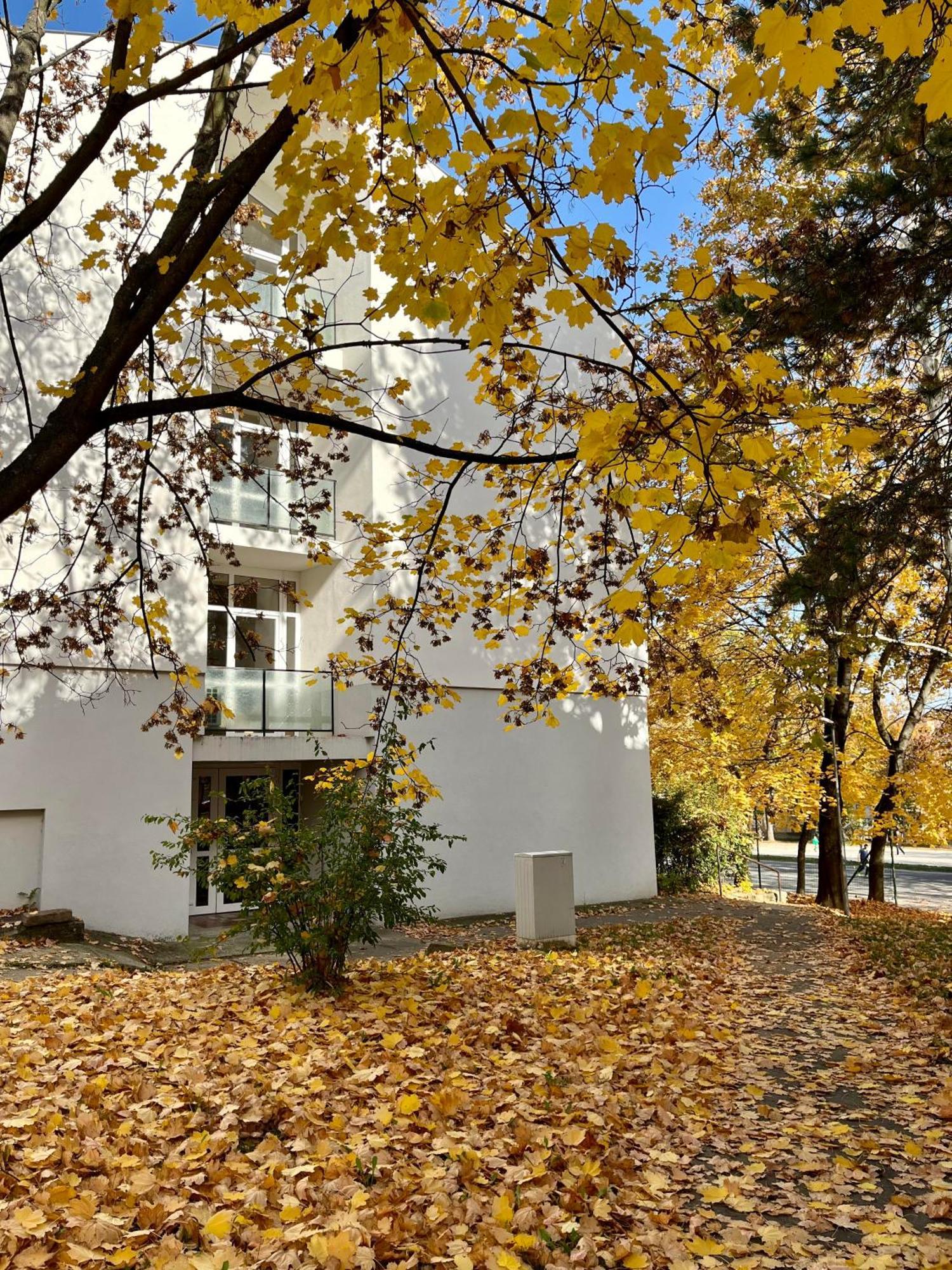 Oazis Apartman Veszprém Exteriör bild